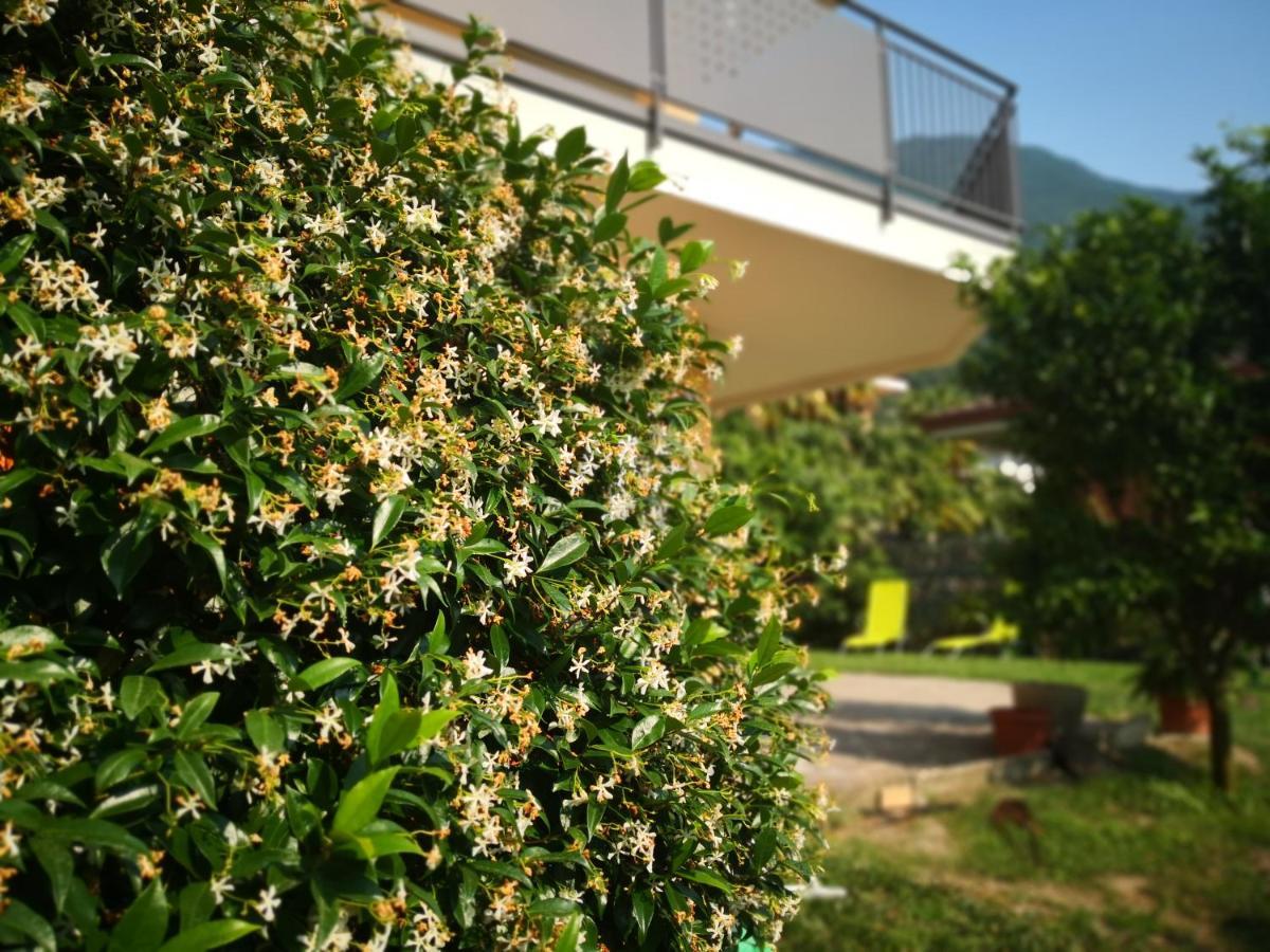 آركو B&B Esmeralda المظهر الخارجي الصورة