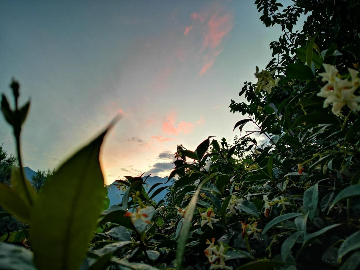 آركو B&B Esmeralda المظهر الخارجي الصورة